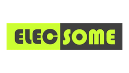 ElecSome logo